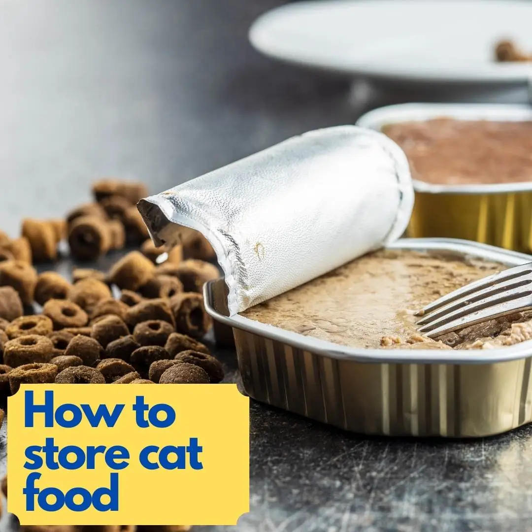how to store cat food