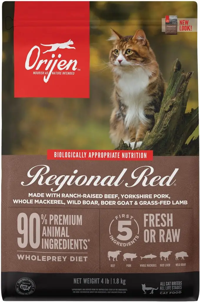 beef based cat food