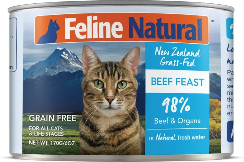 cat nutrition